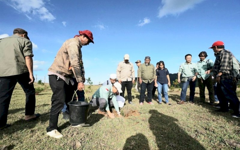 REHABILITASI. PT Vale Indonesia Tbk (PT Vale) tidak hanya melakukan rehabilitasi lahan yang telah ditambang, tetapi juga melakukan rehabilitasi di luar area konsesi. foto: istimewa