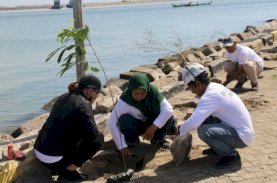 Pelindo Regional 4 Tanam 2.500 Pohon di Sekitar Pelabuhan