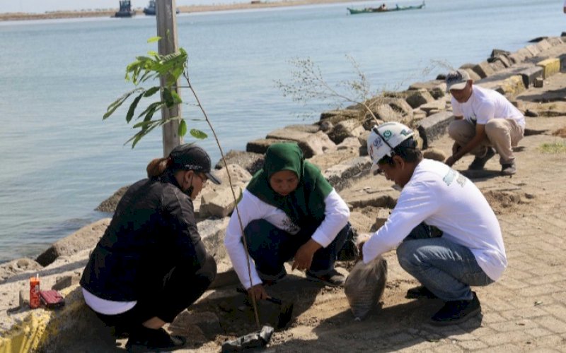 TANAM POHON. PT Pelabuhan Indonesia (Persero) atau Pelindo Regional 4 melalui Tanggung Jawab Sosial dan Lingkungan (TJSL) menggelar 'Program Pelindo Menanam Pohon' dengan melakukan penanaman sebanyak 2.500 bibit pohon di sekitar area pelabuhan, Sabtu (16/9/2023). foto: istimewa