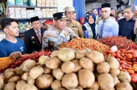 Pj Gubernur Sulsel Ingatkan Lagi Imbauan Tanam Cabai bagi ASN