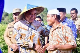 Pj Gubernur Sulsel Panen Cabai Varietas Cakra Putih, Petani: Alhamdulillah, Hasilnya Bisa Naik Haji&nbsp; &nbsp;