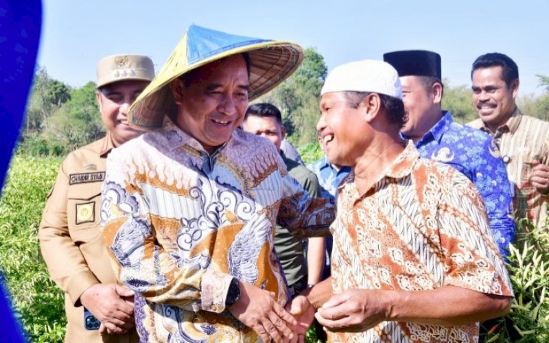PANEN. Pj Gubernur Sulsel Bahtiar Baharuddin bersama Bupati Maros AS Chaidir Syam dan jajaran Forkopimda Maros melakukan panen cabai varietas cakra putih di kebun seluas 50 hektare di kebun petani Lingkungan Dulang, Kelurahan Borong, Kecamatan Tanralili, Kabupaten Maros, Senin (2/10/2023). foto: istimewa