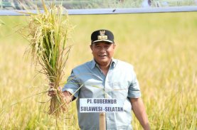Panen Raya di Gowa, Sulsel Sukses Tangani Dampak El Nino