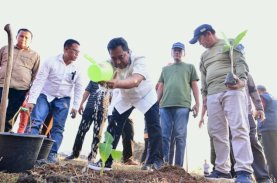 Budidaya Pisang 1 Juta Ha, Pj Gubernur Sulsel Ajak Swasta Berinvestasi&nbsp;