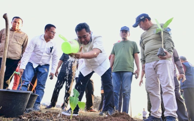 TANAM PISANG. Pj Gubernur Sulsel, Bahtiar Baharuddin, membuktikan keseriusannya melakukan budidaya pisang, dengan melakukan penanaman perdana di atas lahan seluas puluhan hektare di Kecamatan Mare, Kabupaten Bone, Sabtu (7/10/2023). foto: istimewa
