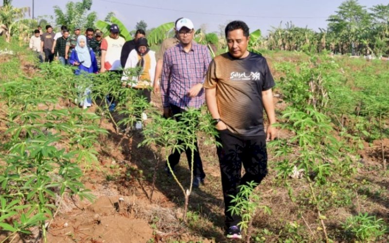 PENINJAUAN. Pj Gubernur Sulsel, Bahtiar Baharuddin, meninjau lahan milik Pemprov Sulsel yang berada di Dusun Tambung, Desa Paccelekang, Kecamatan Pattalasang, Kabupaten Gowa, Minggu (29/10/2023). foto: istimewa