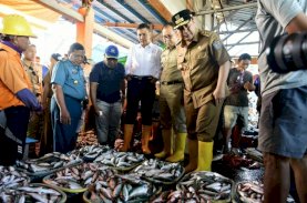 Cek Harga Ikan, Pj Gubernur Sulsel Tinjau TPI Poetere Makassar&nbsp;
