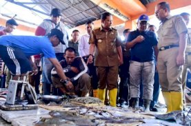 Danny Pomanto Minta ke Pj Gubernur Sulsel, Aset TPI Paotere Dikembalikan ke Pemkot Makassar&nbsp;