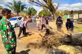 SAR Brimob Bone Evakuasi Pohon Lapuk Bahayakan Warga dan Pengguna Jalan&nbsp;