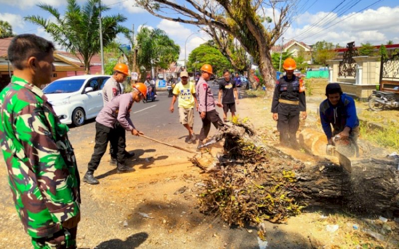 EVAKUASI. Tim SAR Batalyon C Pelopor Satbrimob Polda Sulsel dibantu Babinsa dan Bhabinkamtibmas mengevakuasi sejumlah pohon mati di Jl Yos Soedarso (Poros Bone Bajoe), Kelurahan Tibojong, Kecamatan Tanete Riattang, Kabupaten Bone,nSenin (25/10/2023). foto: istimewa