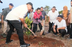 Penanaman Bibit Nangka Madu di Bulukumba, Pj Gubernur Sulsel: Jangan Biarkan Lahan Kosong