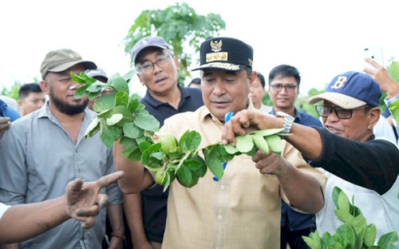 Bahtiar Baharuddin. foto: istimewa