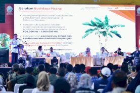 Pemprov Kumpulkan Penyuluh Pertanian Se-Sulsel Bahas Budidaya Pisang