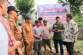 Atasi Masalah Petani Bawang Merah di Enrekang, Pemprov Sulsel Siapkan Skema Bisnis Hulu ke Hilir&nbsp;