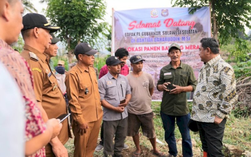 DISKUSI. Pj Gubernur Sulsel, Bahtiar Baharuddin, diskusi bersama para petani saat melakukan panen raya bawang merah di Desa Pekalobean, Kecamatan Anggeraja, Kabupaten Enrekang, Selasa (7/11/2023). foto: istimewa