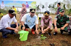 Pj Gubernur Sulsel dan Rektor IAIN Bone Tanam 1.000 Pohon Pisang Cavendish&nbsp;