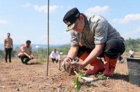 Pj Gubernur Sulsel Ajarkan Petani Enrekang Cara Kembangkan Bibit Pisang