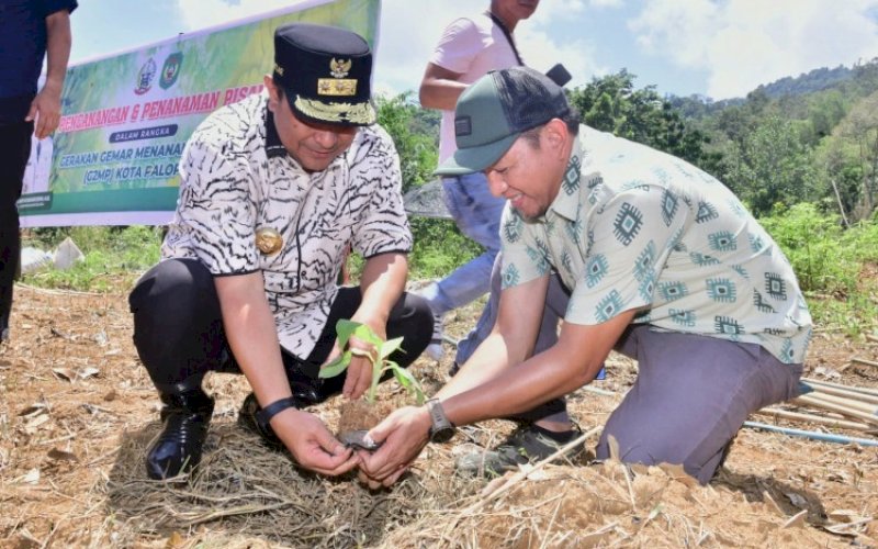 TANAM PISANG. Pj Gubernur Sulsel, Bahtiar Baharuddin, melakukan pencanangan budidaya pisang di Kota Palopo, Minggu (5/11/2023). foto: istimewa