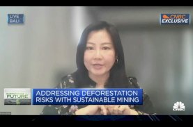 CEO Vale Bahas Pentingnya Dekarbonisasi pada Pertambangan Berkelanjutan di Media Internasional&nbsp;