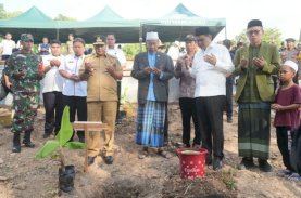 Ponpes DDI Mangkoso Dukung Budidaya Pisang Cavendish, Sejalan Program Pesantren