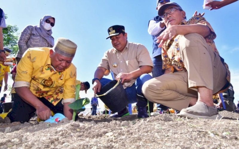 TANAM PISANG. Pj Gubernur Sulsel Bahtiar Baharuddin bersama Bupati Soppeng Kaswadi Razak melakukan penanaman pisang cavendish di Dusun Medde, Desa Patampanua, Kecamatan Marioriawa, Kabupaten Soppeng, Jumat (8/12/2023). foto: istimewa&nbsp;