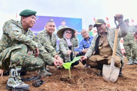 Pangdivif 3 Kostrad Siapkan Lahan 100 Ha untuk Budidaya Pisang Cavendish