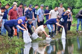 8.000 Benih Ikan Nila Ditebar di Kampus Biru Unismuh Makassar