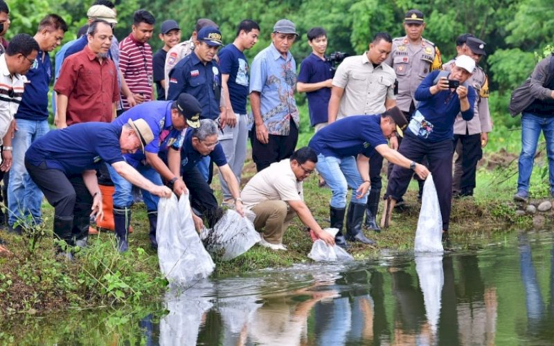 PENEBARAN. Pj Gubernur Sulsel Bahtiar Baharuddin, Kapolda Sulsel Irjen Pol Andi Rian Ryacudu Djajadi, Rektor Unismuh Prof Ambo Asse, dan Kepala Dinas Kelautan dan Perikanan Sulsel Muhammad Ilyas, melakukan penebaran benih sebanyak 8.000 ekor di kolam pada lahan Pusdiklat Unismuh Makassar di Bollangi, Kabupaten Gowa, Sabtu (30/12/2023). foto: istimewa