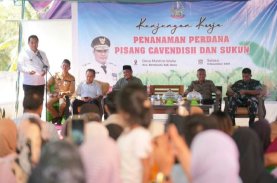 Pj Gubernur Sulsel Ajak Petani Tingkatkan Kesejahteraan dengan Budidaya Pisang