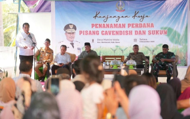 Bahtiar Baharuddin. foto: istimewa&nbsp;