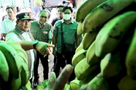Danny Pomanto Dampingi Pj Gubernur Sulsel Tinjau Harga Komoditi di Pasar Pannampu