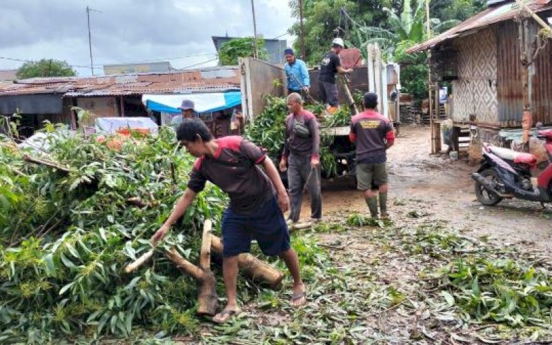EVAKUASI. Satgas Panakkukang melakukan evakuasi pohon tumbang di dua lokasi berbeda, yakni Jl Adhyaksa dan Taman Pakui, Kelurahan Masale, Kecamatan Panakkukang, Kota Makassar, Senin (11/12/2023). foto: istimewa