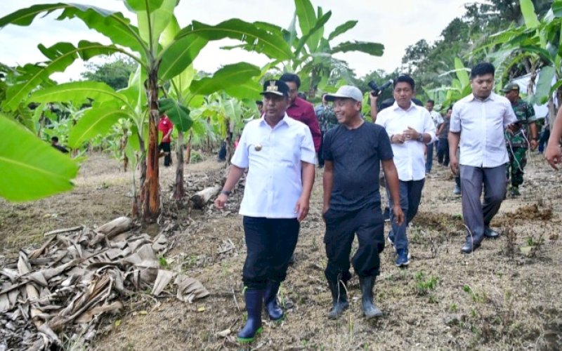 KUNJUNGAN. Salah seorang petani di Kabupaten Bone Abdul Hafid Mappatoba, dari Kelompok Tani Mitra Utama 1, Desa Ulaweng Riaja, Kecamatan Amali, Kabupaten Bone, bersama Pj Gubernur Sulsel, Bahtiar Baharuddin, saat melakukan kunjungan ke lokasinya, Kamis (11/1/2024). foto: istimewa