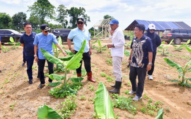 KUNJUNGAN. Pj Gubernur Sulsel Bahtiar Baharuddin bersama Pj Bupati Bone Andi Islamuddin mengunjungi lokasi Sentra Pembibitan Cavendish di Dusun Waru, Desa Batugading dan Dusun Cenrana, Desa Tellongeng, Kecamatan Mare, Kabupaten Bone, Jumat (12/1/2024). foto: istimewa