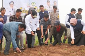 Dana KUR Selamatkan Petani dari Rentenir