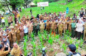 Kades di Jeneponto Yakin Program Pj Gubernur Sulsel Dongkrak Pendapatan Petani