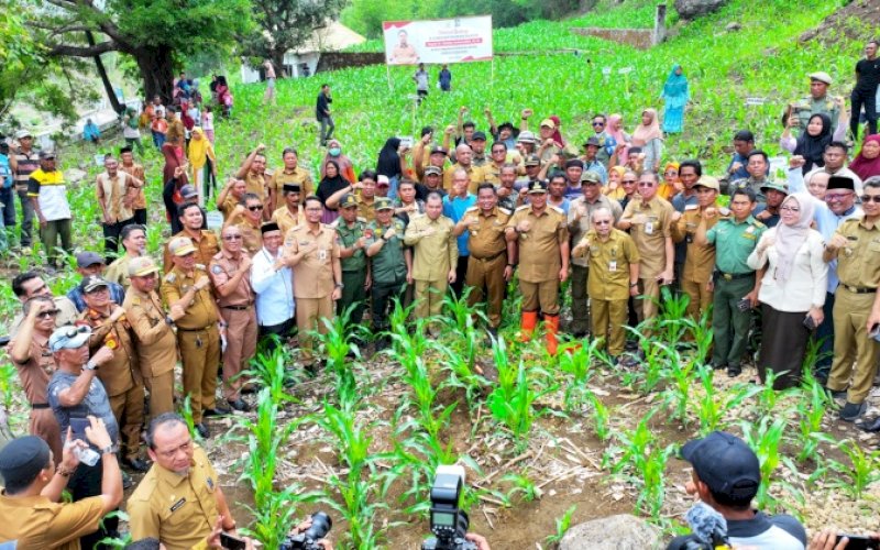PENANAMAN. Pj Gubernur Sulsel, Bahtiar Baharuddin, melakukan kunjungan kerja untuk penanaman nangka madu di Desa Tanjonga, Kecamatan Turatea, Kabupaten Jeneponto, Selasa (2/1/2024). foto: istimewa