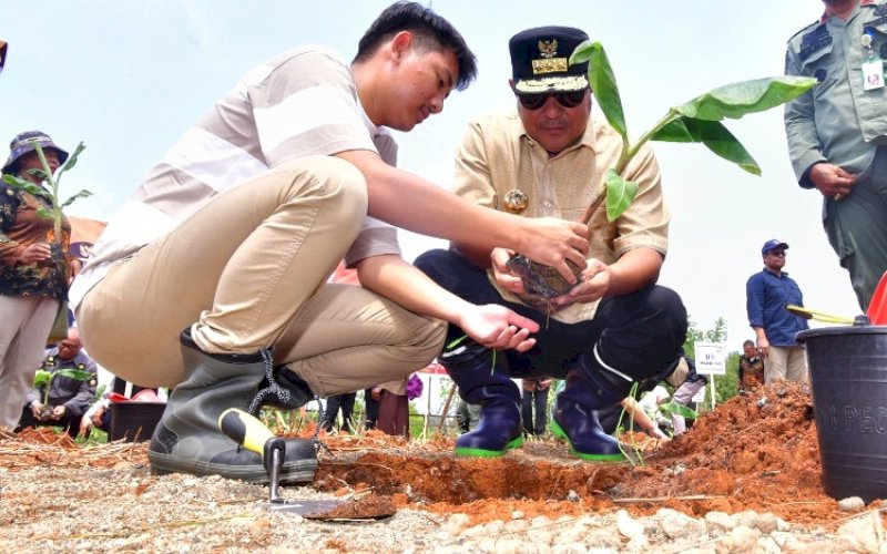 TANAM PISANG. Pj Gubernur Sulsel, Bahtiar Baharuddin, melakukan Penanaman Perdana Komoditas Pisang Cavendish di Luwi Timur, Kamis (4/1/2024). foto: istimewa