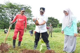 Barisan Muda Putra Pongka Tanam Sukun Bersama Pj Gubernur Sulsel