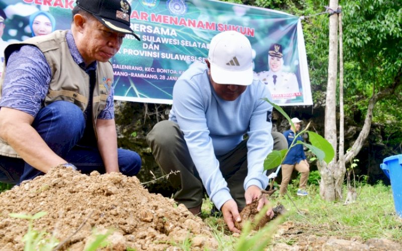 TANAM SUKUN. Pj Gubernur Sulsel, Bahtiar Baharuddin, kembali melakukan penanaman sukun di Rammang-rammang, tepatnya di Dermaga 2, Kabupaten Maros, Minggu (28/1/2024). foto: istimewa