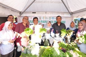 Pj Gubernur Sulsel Jalan Santai, Cek Kesehatan, dan Tinjau Pasar di Parepare