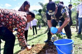 Selain Ikan Bandeng, Pangkep Diharapkan Jadi Penghasil Nangka Madu