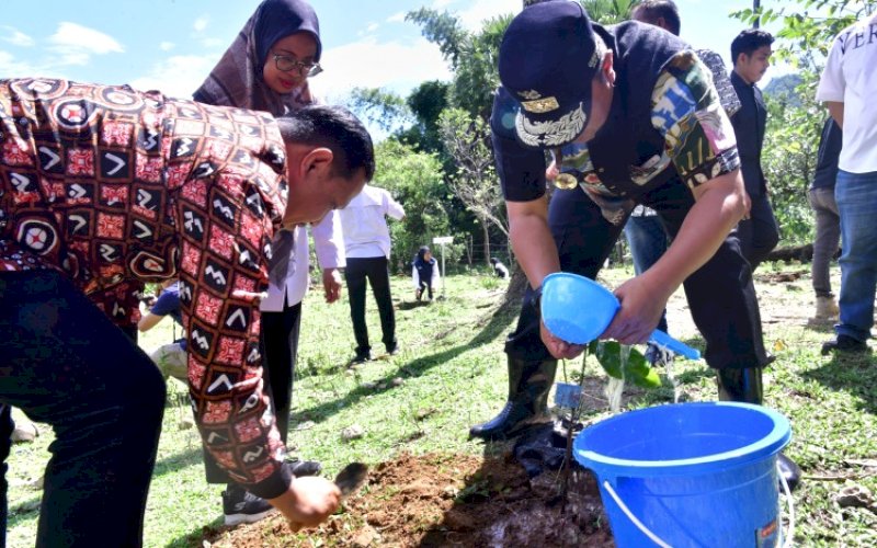 MENANAM. Bupati Pangkep Muhammad Yusran Lologau mendampingi Pj Gubernur Sulsel Bahtiar Baharuddin melakukan penanaman nangka madu di lahan warga, di Kelurahan Balleang, Kecamatan Balloci, Pangkep usai pelaksanaan puncak HUT Kabupaten Pangkep ke-64, Rabu (28/2/2024). foto: istimewa