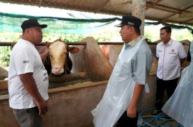 Pj Gubernur Sulsel Kunjungi Bangsal Pascapanen di Pinrang, Tebar Benih Ikan dan Inseminasi Buatan