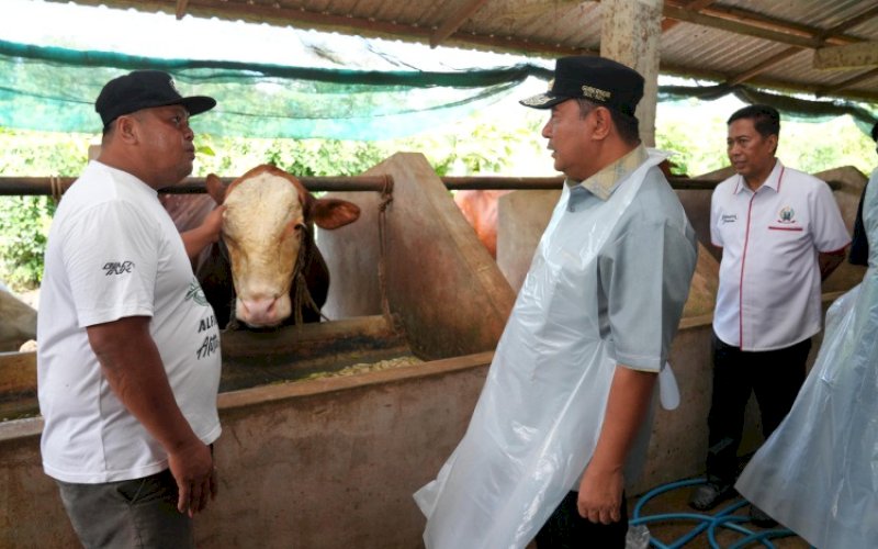 KUNJUNGAN. Pj Gubernur Provinsi Sulsel, Bahtiar Baharuddin, mengunjungi bangsal pascapanen yang dikelola Kelompok Wanita Tani (KWT) di Desa Pananrang Kecamatan Mattiro Bulu, Kabupaten Pinrang, Minggu (18/2/2024). foto: istimewa