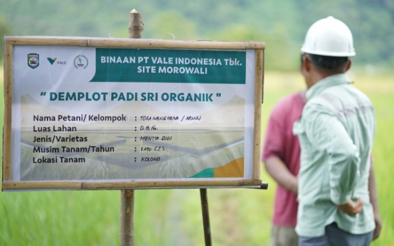 Ilustrasi. foto: istimewa