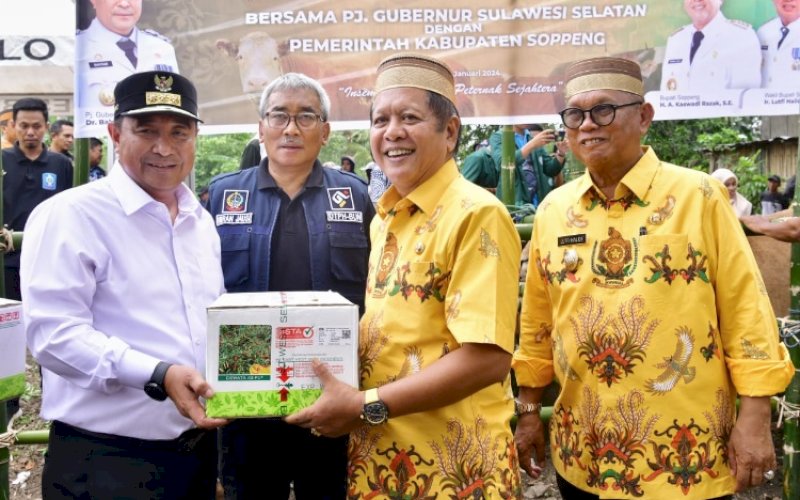 HAK PATEN. Bupati Soppeng Andi Kaswadi Razak menyerahkan bibit cabai Tampaning kepada Pj Gubernur Sulsel Bahtiar Baharuddin. Bupati Soppeng mensertifikasi bibit cabai Tampaning menjadi hak paten. foto: istimewa