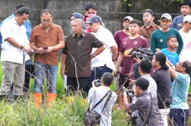 Pj Gubernur Sulsel, Wali Kota Makassar, dan Bupati Maros Kompak Tinjau Lahan Stadion