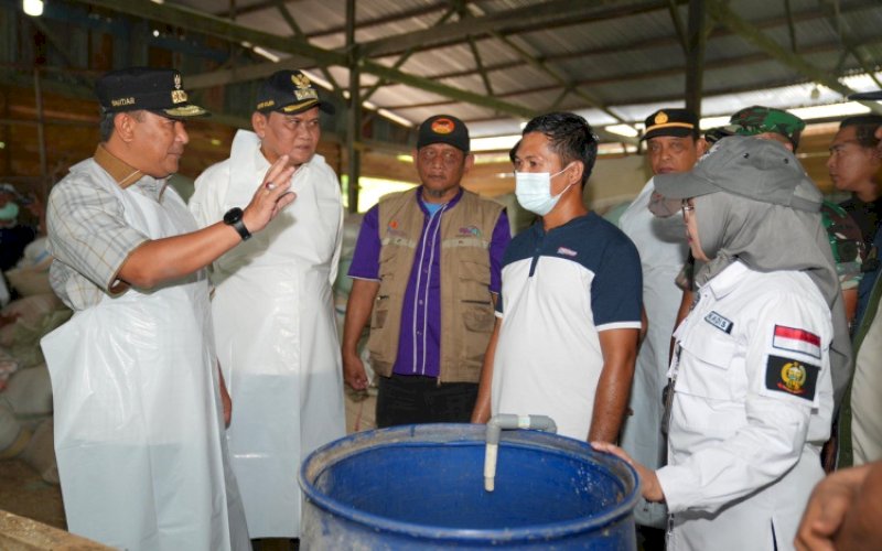 KUNJUNGAN. Pj Gubernur Sulsel, Bahtiar Baharuddin, mengunjungi peternakan sapi di Kabupaten Barru, Jumat (22/3/2024). foto: istimewa