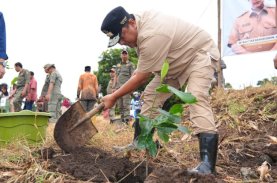 Pj Gubernur Sulsel Galakkan Penanaman Dua Juta Pohon Nangka Madu